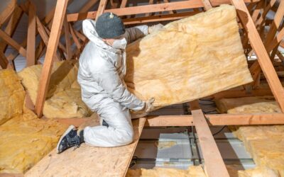 The Impact of Government Grants for Insulation on My Home